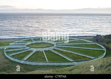 Hamarsrett. Eine traditionelle Schafe Round-Up Ring in Vatnsnes, North Island. Hier Bauern ihre Schafe zu sammeln. Stockfoto