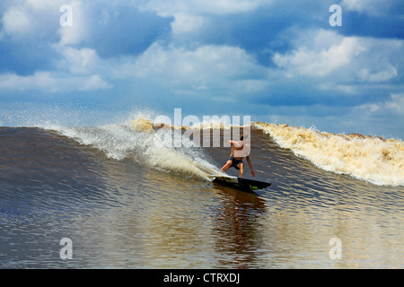 Australische Surfer Surfen einen Gezeiten-Fluss trug Welle Volksmund der Bono, und taufte die 7 (sieben) Geister von Reisenden. Stockfoto