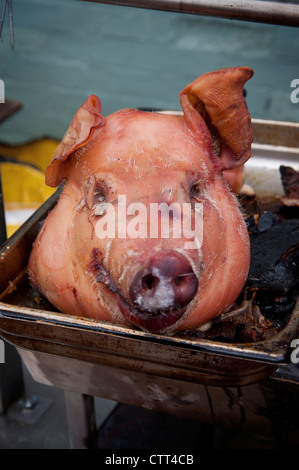 Schweinekopf in einem Tablett Stockfoto