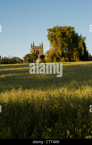 St. Michael Kirche bei Sonnenaufgang in Shirley ein typisches Dorf in Derbyshire Stockfoto