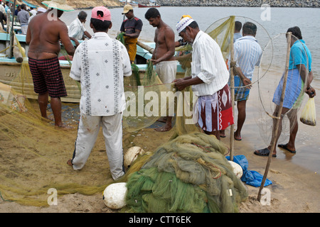 Fischer, entfernen von kleinen Fischen aus Netz, Hambantota, Sri Lanka Stockfoto