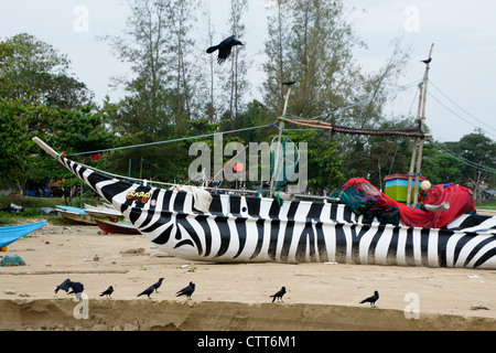 Ausleger Angelboote/Fischerboote (Oru oder Meer Kanus) am Strand, Weligama, Sri Lanka Stockfoto