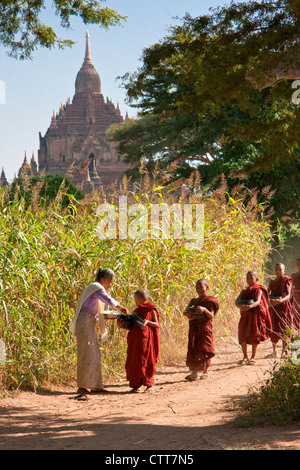 Myanmar, Burma. Bagan. Frau junge Novizen Reis geben. Stockfoto