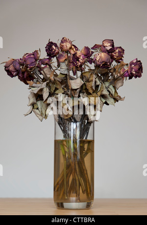 Tote BLUMEN in Vase Still Life - Dead Roses Konzept Stockfoto