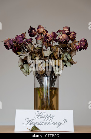 Vase of DEAD ROSES with a Card Reading "Happy Anniversay?" davor. Konzept für tote Blumen, Standbild Stockfoto