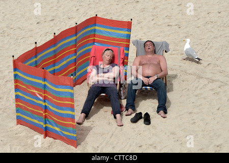 Möwe geht vorbei an Mann und Frau am Strand schlafen Stockfoto