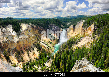 Lower Falls Yellowstone River National Park Wyoming WY USA Stockfoto