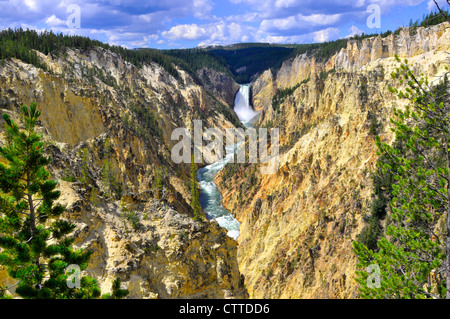 Lower Falls Yellowstone River National Park Wyoming WY USA Stockfoto