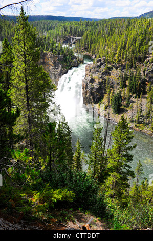 Upper Falls Yellowstone River Nationalpark Wyoming WY USA Stockfoto