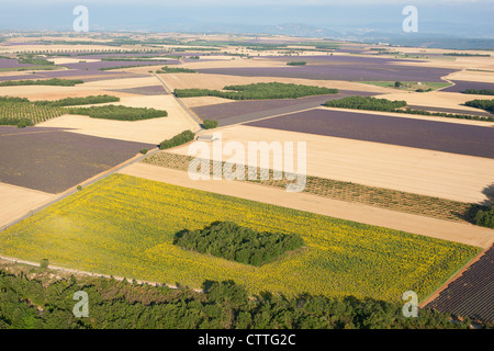 LUFTAUFNAHME. Valensole Plateau mit Lavendel-, Weizen- und Sonnenblumenfeldern. Puimoisson, provence. Frankreich. Stockfoto