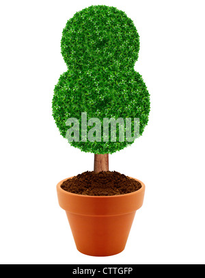 Kleiner grüner Baum in einem Topf mit grünem Hintergrund. Stockfoto