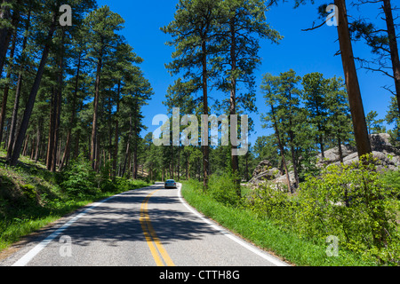 Iron Mountain Road in den Black Hills National Forest in der Nähe von Keystone, South Dakota, USA Stockfoto