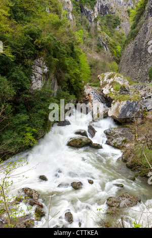 Desfiladero de Los Beyos in Südwesthang des Picos de Europa, Asturien, Spanien Stockfoto