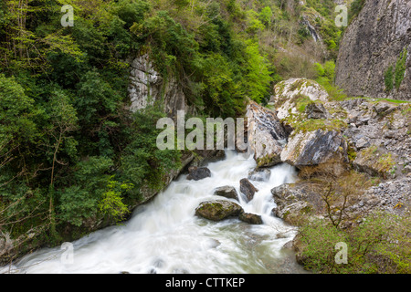 Desfiladero de Los Beyos in Südwesthang des Picos de Europa, Asturien, Spanien Stockfoto