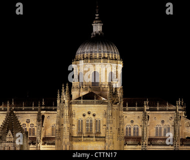 Nacht-Blick auf die Kathedrale von Salamanca, Spanien Stockfoto