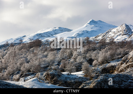 Berg Lake Ercina, Picos de Europa National Park, Covadonga, Asturien, Spanien Stockfoto