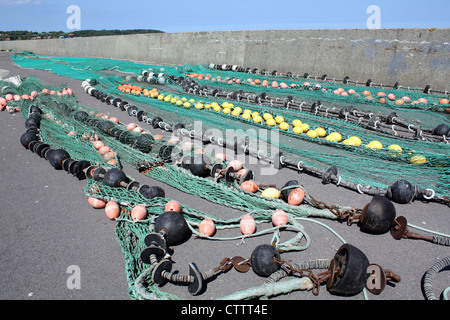 Fischernetze trocknen in einem Hafen auf der Insel Bornholm in Dänemark Stockfoto