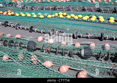 Fischernetze trocknen in einem Hafen auf der Insel Bornholm in Dänemark Stockfoto