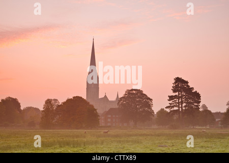 Kathedrale von Salisbury in den Westen Harnham Auen im Morgengrauen. Stockfoto