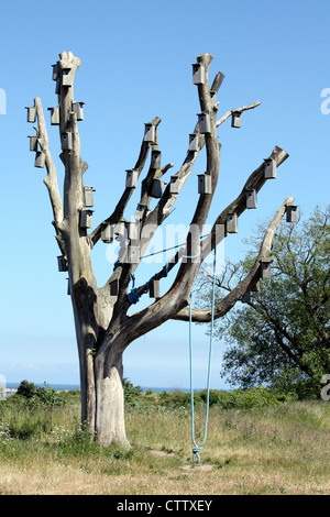 Nistkästen in einem Baum Stockfoto