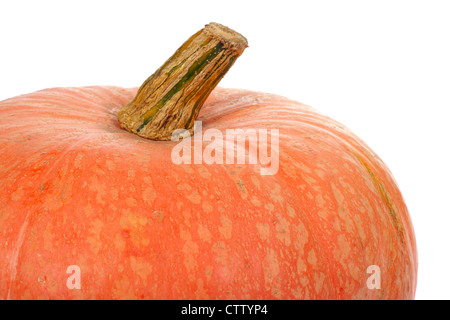 Halloweens orange Kürbis Foto auf dem weißen Hintergrund Stockfoto