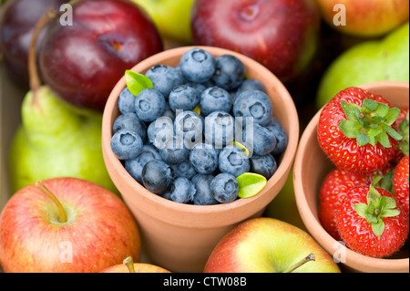 Sommer oder Herbst frisch gepflückten einschließlich der britischen Früchte: Heidelbeeren, Erdbeeren, Äpfel und Birnen Stockfoto