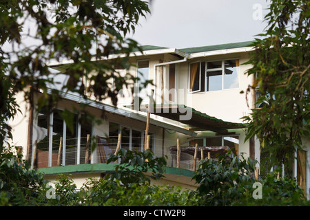 Semilla Verde Guest House, Santa Cruz Island, Galapagos, Ecuador Stockfoto