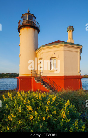 Bandon, Oregon: Morgensonne auf der Coquille Fluss Leuchtturm und blühenden Schwefel lupine Stockfoto