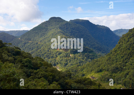 Hügel und Täler in der "Serra do Mar" Stockfoto