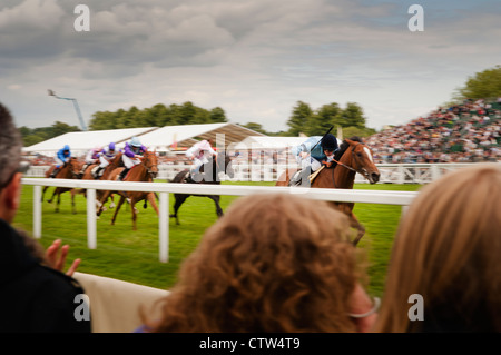 Pferderennen im Royal Ascot. Stockfoto