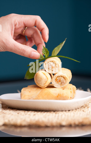 Teller mit Thai Frühlingsrollen Vorspeise mit garnieren. Geringe Schärfentiefe. Stockfoto