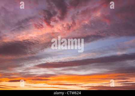 Bunte orange und gelbe Wolken bei Sonnenuntergang. Stockfoto