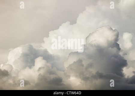 Gewitterwolken und Donner Köpfe vor Sturm. Stockfoto