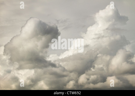 Gewitterwolken und Donner Köpfe vor Sturm im Sommer Maine. Stockfoto