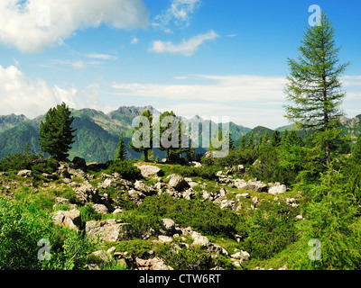 Passo Manghen, Telve, Trentino, Dolomiten, Südtirol, Süditalien Stockfoto