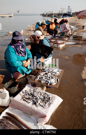 Arabische Berber Frauen verkaufen Fisch im Hafen, Essaouira, Marokko Afrika Stockfoto