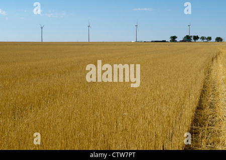 Windräder säumen die Skyline in Lamar, Colorado, USA. Stockfoto