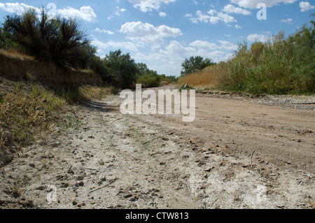 Trockenes Flussbett von den Arkansas River an der Grenze von Colorado und Kansas aus Autobahn 50E/400E in der Nähe von Holly, Colorado. Stockfoto