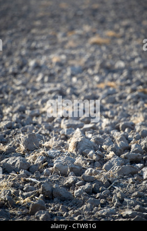 Trocken, flach gedrehten Feld während der schweren Dürre in Kansas, USA. Stockfoto