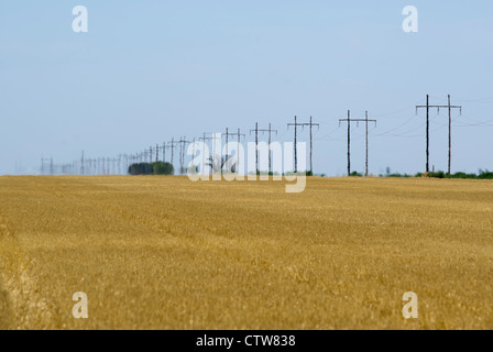 Hitze-Dunst verschwimmen Stromleitungen am Horizont in Kansas, USA. Temps gekrönt regelmäßig 107 Fahrenheit im Juli 2012. Stockfoto