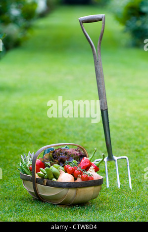 erntefrisch nach Hause britische Gemüse in einem hölzernen Trug auf einer Wiese mit einer Edelstahl-Garten-Gabel Stockfoto