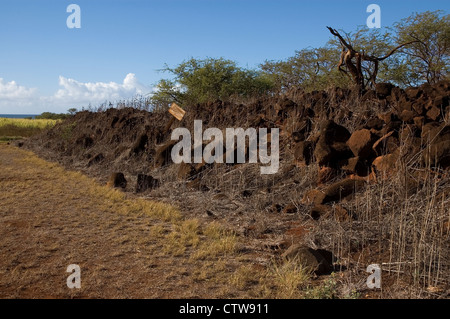 Elk284-7305 Hawaii, Kauai, russische Fort Elizabeth SHP, 1817 Stockfoto