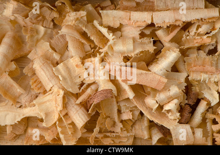 Hintergrund der goldenen Locken von Holzspänen. Stockfoto