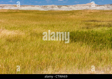 Buffalo Gap National Grasslands in den Badlands von South Dakota. Stockfoto