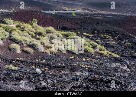 Zerklüftete Gelände im Krater des Moon Nationalmonument and Preserve in Idaho. Stockfoto