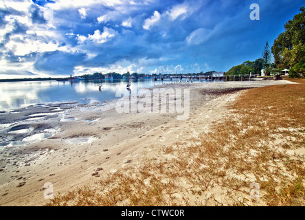 Yamba Nsw mit Pelikane am Flussstrand Stockfoto