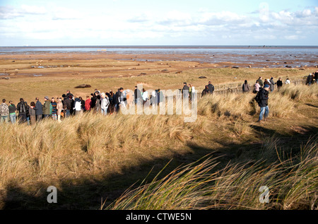 Öffentlich, Besucher bei Donna Nook versiegeln Heiligtum im Winter. Stockfoto