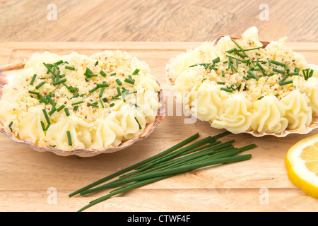 Frisch zubereitete Coquille St. Jacques - Studio gedreht Stockfoto