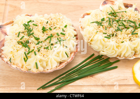 Frisch zubereitete Coquille St. Jacques - Studio gedreht Stockfoto