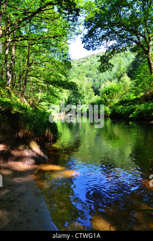 Reflexionen in den Fluß Teign, in der Nähe von Fingle Bridge, in der Nähe von Drewsteignton auf Dartmoor in Devon Stockfoto